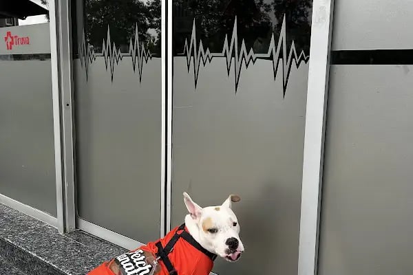 Truva Veteriner Kliniği - Resim 7