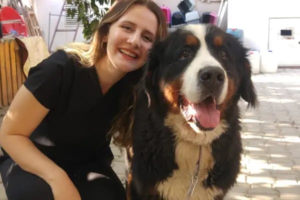 Truva Veteriner Kliniği - Resim 19