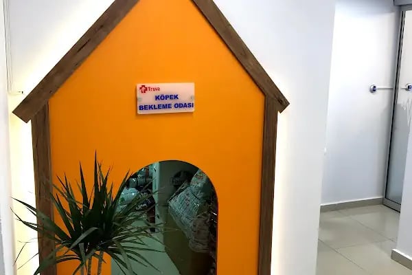 Truva Veteriner Kliniği - Resim 13