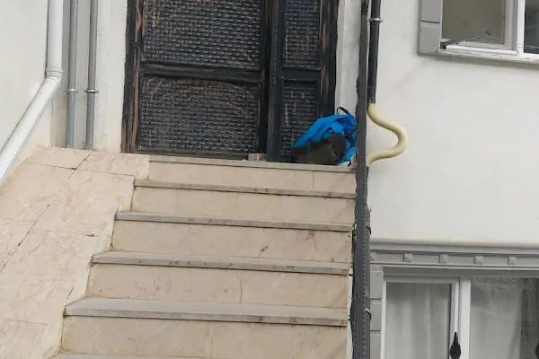 Gül Gemlik Temizlik Hizmetleri - Bursa, Mudanya, Gemlik, Osmangazi - Resim 14