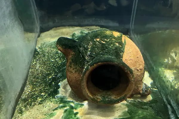 Serçe Limanı Cam Batığı Sergisi - Resim 19
