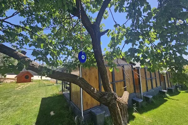 Park Petpoint Tuğba - Resim 13