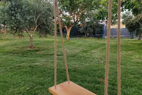 Park Petpoint Tuğba - Resim 11