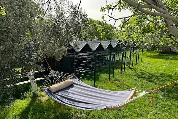 Park Petpoint Tuğba - Resim 4