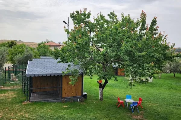 Park Petpoint Tuğba - Resim 5