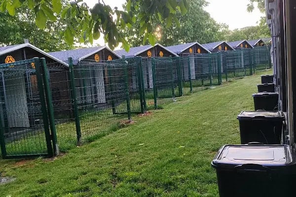 Park Petpoint Tuğba - Resim 10