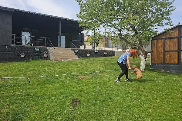 Park Petpoint Tuğba - Resim 9