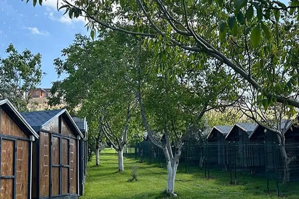 Park Petpoint Tuğba - Resim 19