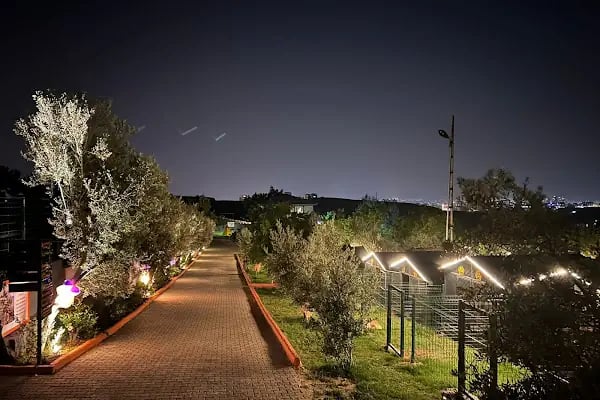 Park Petpoint Tuğba - Resim 2