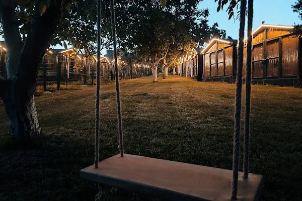 Park Petpoint Tuğba - Resim 18