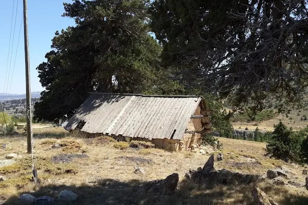 Nure Sofi Türbesi - Resim 19