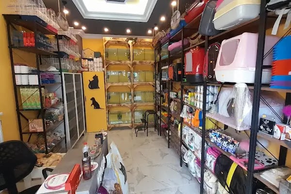 Mia Pets Akşehir - Resim 16