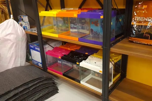 Mia Pets Akşehir - Resim 17
