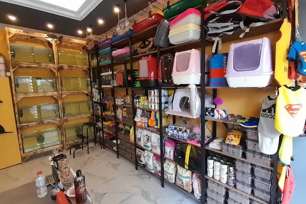 Mia Pets Akşehir - Resim 13