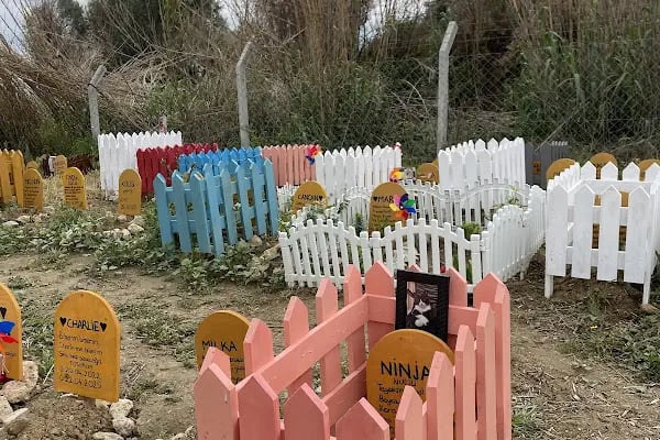 İzmir Hayvan Mezarlığı - Resim 15