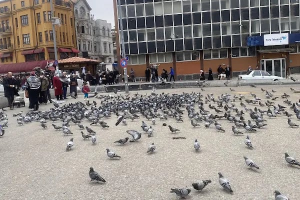 Türk Kızılayı Ulus Meydanı Kan Alma Aracı - Resim 2