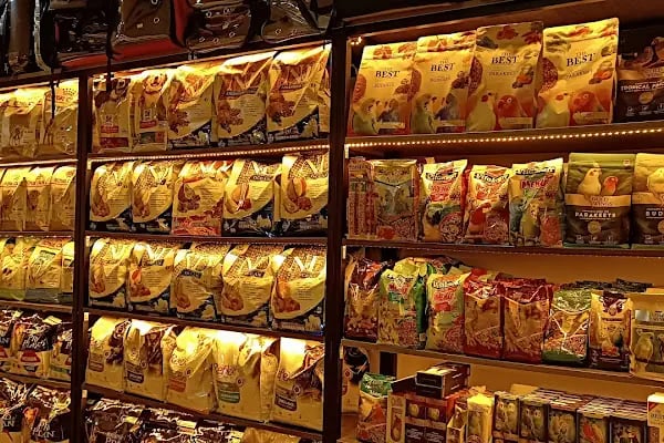 Chaplin Pet Shop - Resim 20