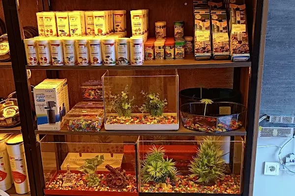 Chaplin Pet Shop - Resim 3