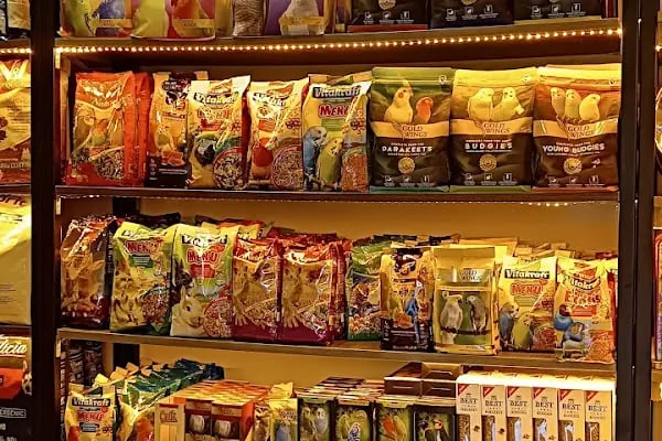 Chaplin Pet Shop - Resim 18