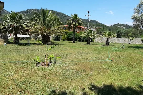 The Palm Apart Sarigerme - Resim 4