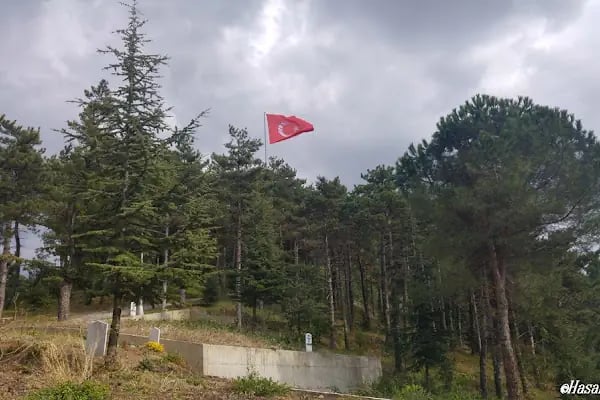 Yuvacık Merkez Mezarlığı - Resim 20