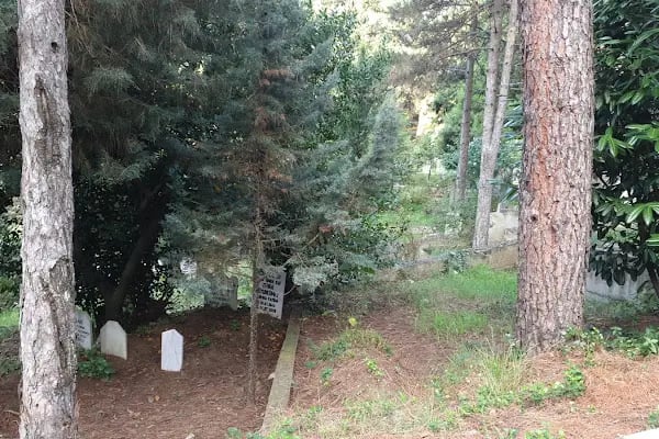 Yuvacık Merkez Mezarlığı - Resim 4