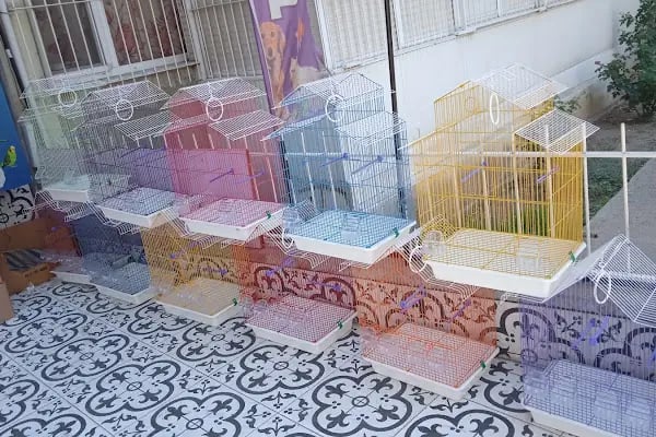 Rüyam Pet Shop &amp; Yem - Resim 3