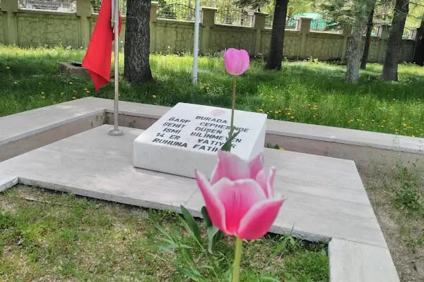 100. Yıl Parkı - Resim 13