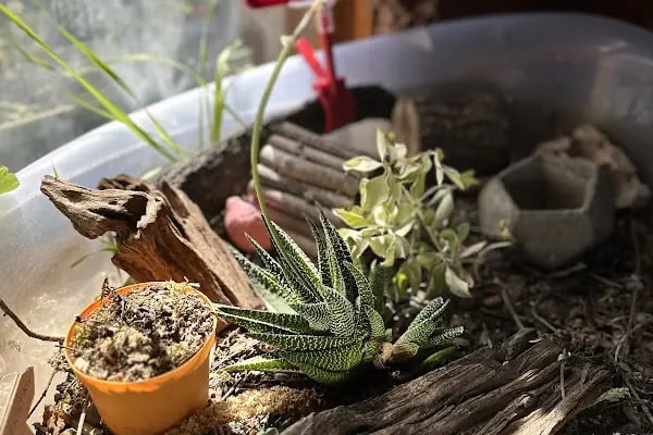 34 Orman Park Orman Ve Doğa Okulu - Resim 18