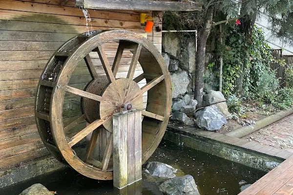 34 Orman Park Orman Ve Doğa Okulu - Resim 15