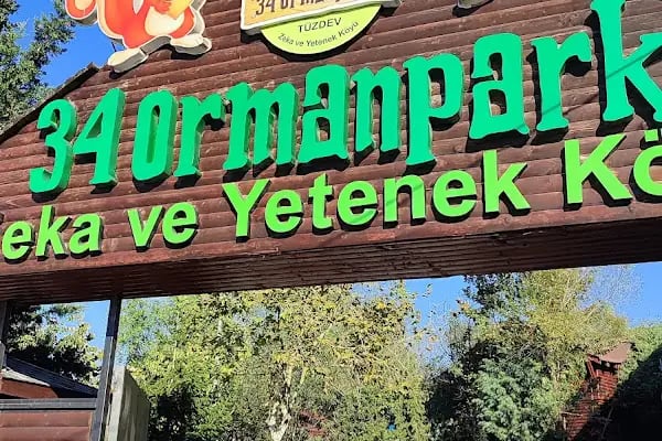 34 Orman Park Orman Ve Doğa Okulu - Resim 11