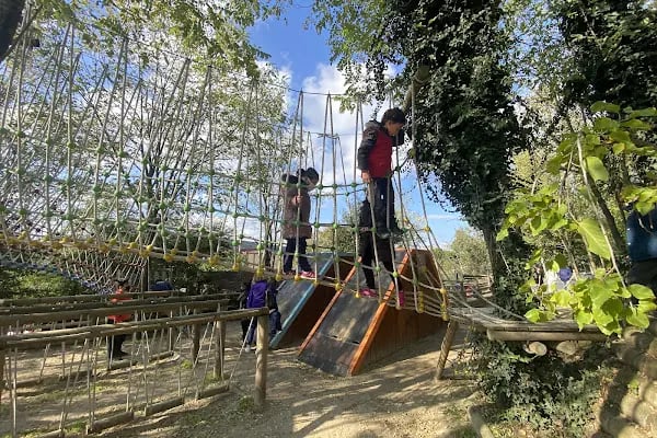 34 Orman Park Orman Ve Doğa Okulu - Resim 6