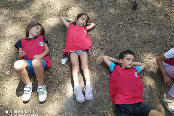 34 Orman Park Orman Ve Doğa Okulu - Resim 7