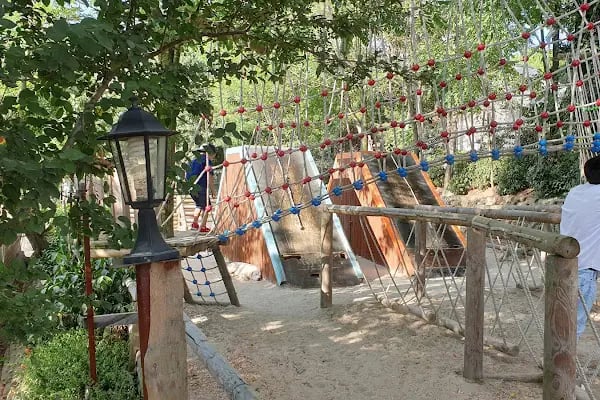 34 Orman Park Orman Ve Doğa Okulu - Resim 9