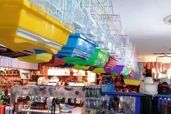 Akyurt av pet shop akvaryum MKE bayi - Resim 2