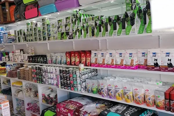 Akyurt av pet shop akvaryum MKE bayi - Resim 15