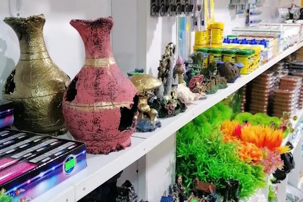 Akyurt av pet shop akvaryum MKE bayi - Resim 4