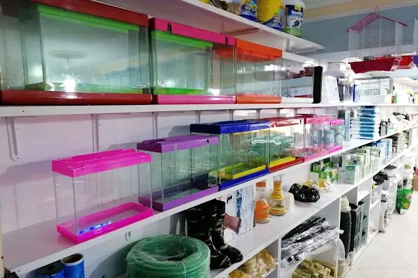 Akyurt av pet shop akvaryum MKE bayi - Resim 12