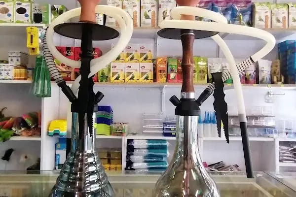 Akyurt av pet shop akvaryum MKE bayi - Resim 17