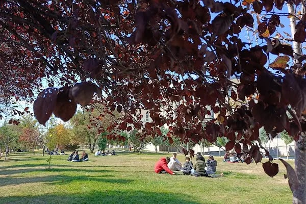 Ankara Üniversitesi Beypazarı Meslek Yüksekokulu - Resim 6