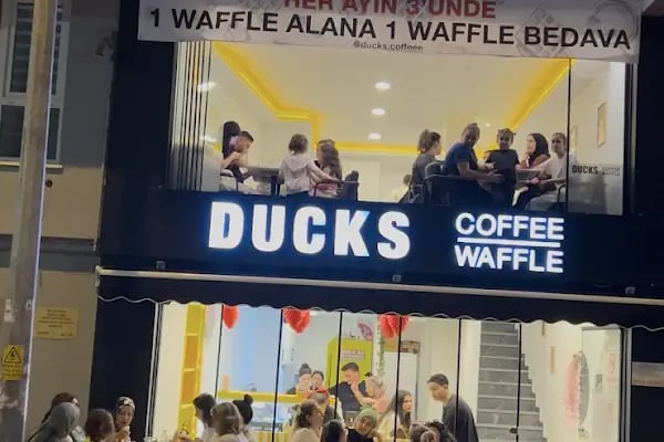 Ducks Waffle Coffee - Resim 2