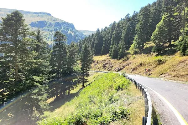Trabzon Suites 2 - Resim 5
