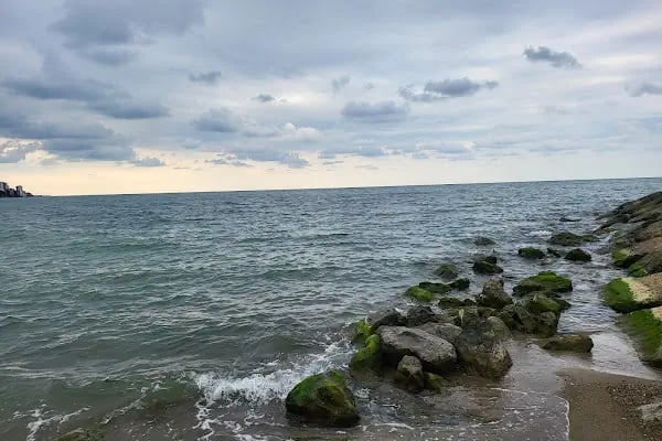 Trabzon Suites 2 - Resim 3
