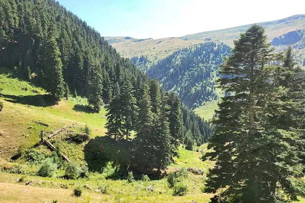 Trabzon Suites 2 - Resim 8