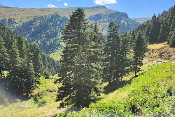 Trabzon Suites 2 - Resim 2
