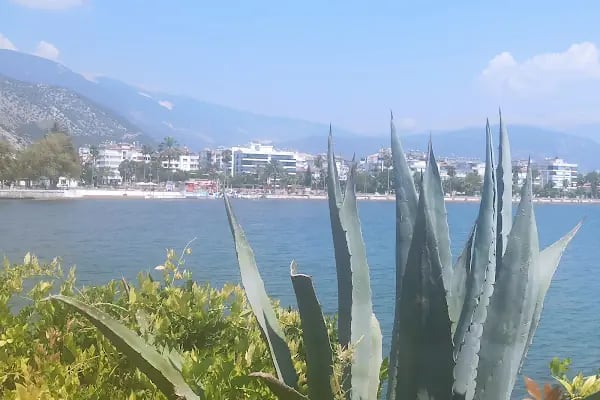 Yavuz Selim Parkı - Resim 7