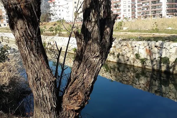Yavuz Selim Parkı - Resim 15