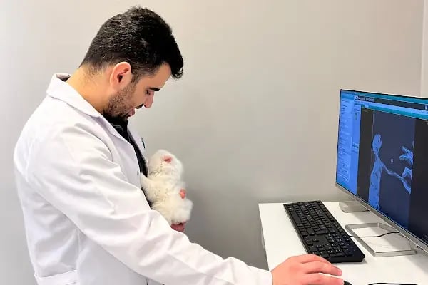Bahçelievler Mahmutbey Veteriner Kliniği 7/24 - Resim 18
