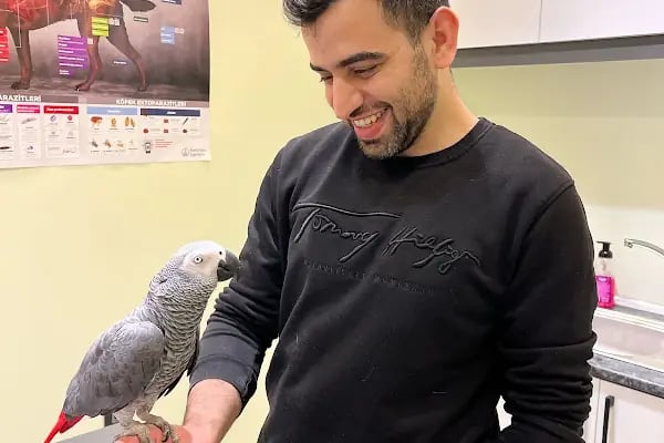 Bahçelievler Mahmutbey Veteriner Kliniği 7/24 - Resim 15