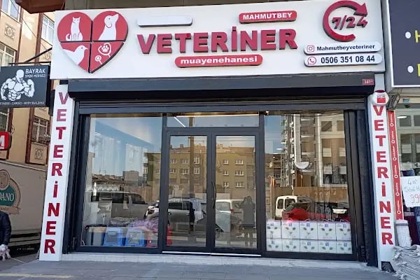 Bahçelievler Mahmutbey Veteriner Kliniği 7/24 - Resim 12